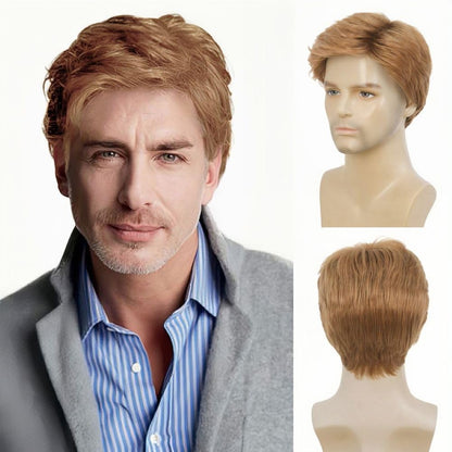 Mens Short  Wig Synthetic Replacement Costume Natural Hair Wigs